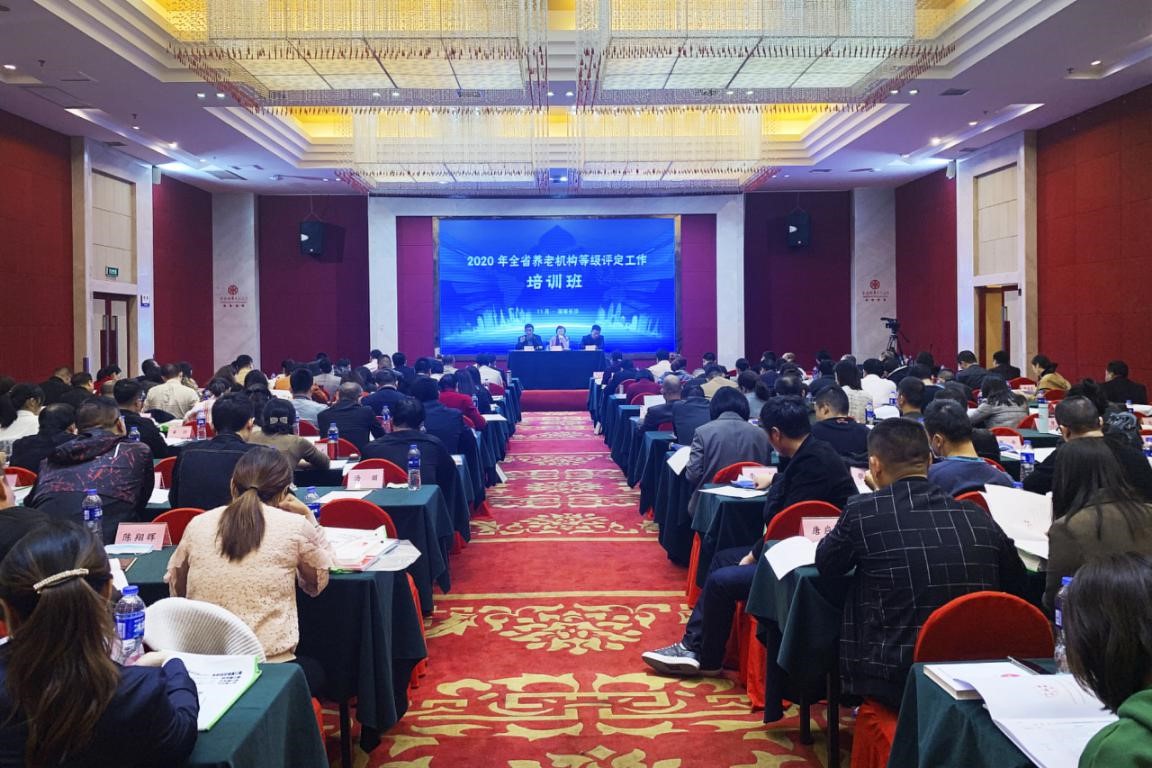 湖南发展集团康乃馨公司成功承办2020年全省养老机构等级评定工作培训班
