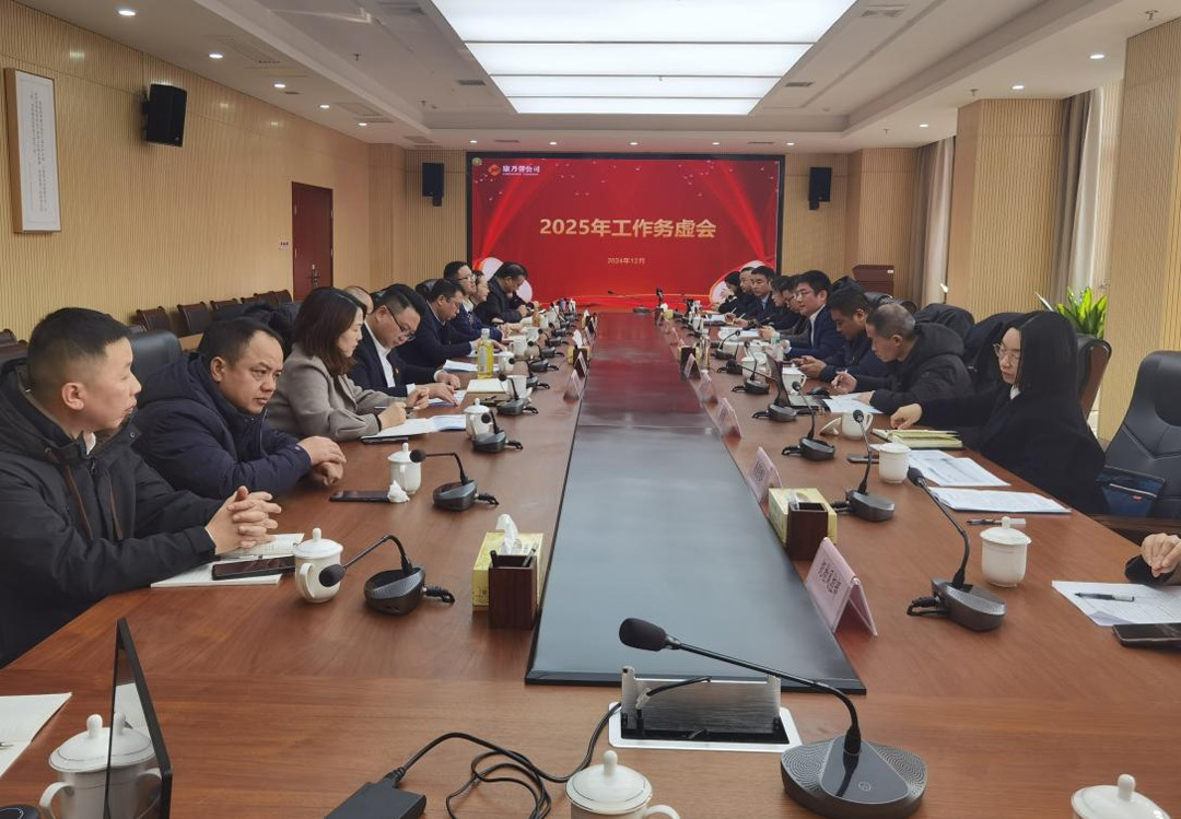 康乃馨公司召开2025年工作务虚会
